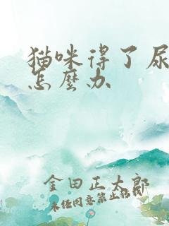 猫咪得了尿结石怎么办