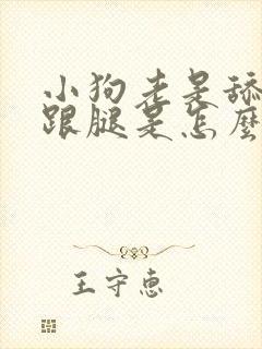 小狗老是舔爪子跟腿是怎么回事儿