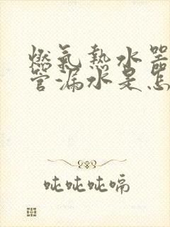 燃气热水器排气管漏水是怎么回事