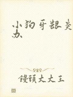 小狗牙龈炎怎么办