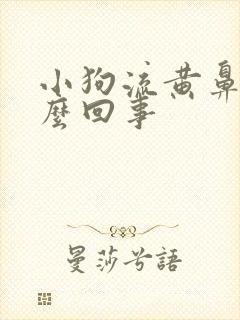 小狗流黄鼻涕怎么回事