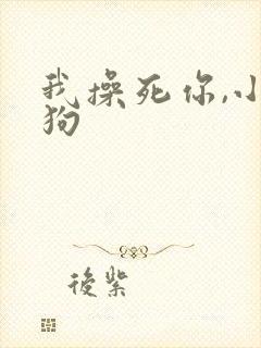 我操死你,小母狗