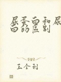 尿蛋白和尿白蛋白的区别