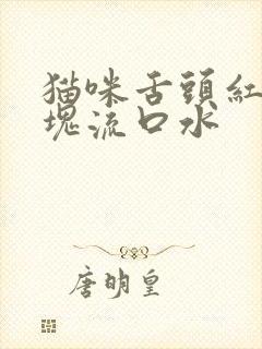 猫咪舌头红了一块流口水