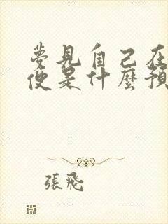 梦见自己在拉大便是什么预兆解梦