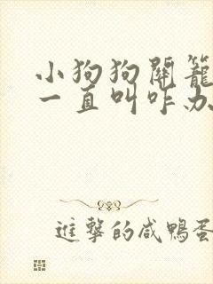 小狗狗关笼子里一直叫咋办