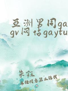 亚洲男同gaygv网站gaytube