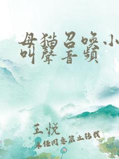 母猫召唤小猫的叫声音频