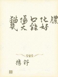 猫伤口化脓一般几天能好