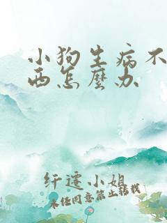 小狗生病不吃东西怎么办