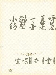 小猫一直呼呼呼的声音是怎么回事