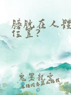 膀胱在人体哪个位置?