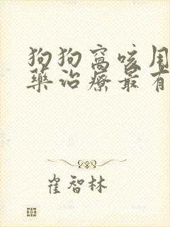 狗狗窝咳用什么药治疗最有效