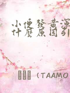 小便发黄浑浊是什么原因引起的