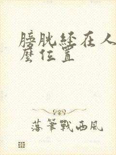 膀胱经在人体什么位置