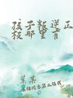 孩子叛逆正规学校哪里有