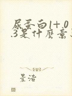 尿蛋白1+ 0.3是什么意思