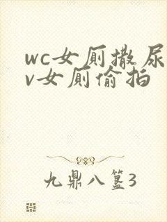 wc女厕撒尿tv女厕偷拍