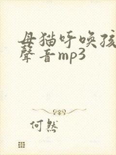 母猫呼唤孩子的声音mp3