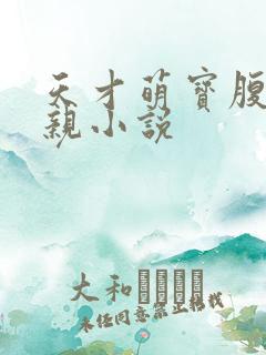 天才萌宝腹黑娘亲小说