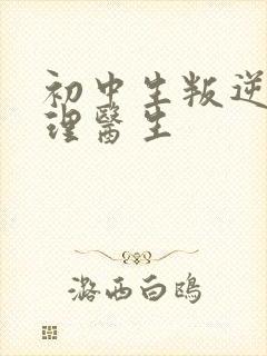 初中生叛逆期心理医生