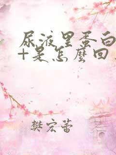 尿液里蛋白质1+是怎么回事