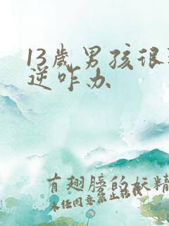 13岁男孩很叛逆咋办