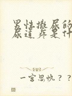 男性撒尿的时候尿道疼是什么原因