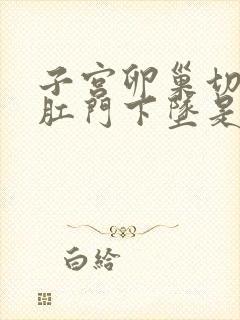 子宫卵巢切除后肛门下坠是什么原因