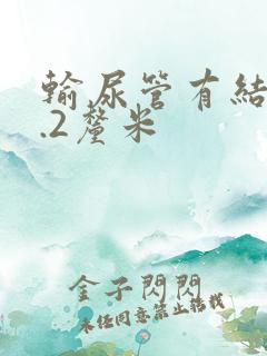 输尿管有结石1.2厘米