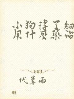 小狗得了细小病用什么药治疗