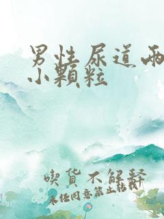 男性尿道两侧有小颗粒