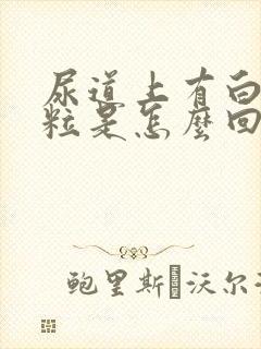 尿道上有白色颗粒是怎么回事