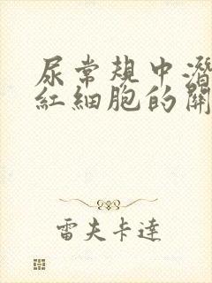 尿常规中潜血和红细胞的关系