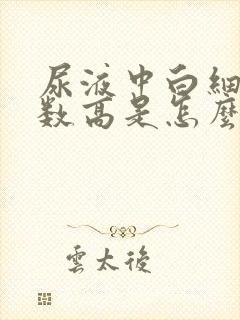 尿液中白细胞计数高是怎么回事