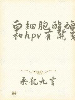 白细胞酯酶阳性和hpv有关系吗