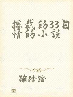 总裁的33日索情的小说