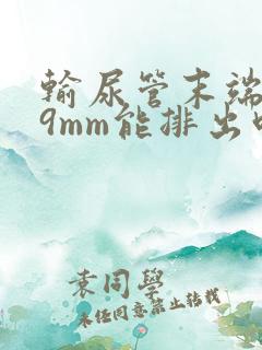 输尿管末端结石9mm能排出吗