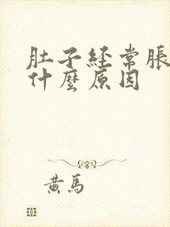 肚子经常胀气是什么原因