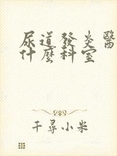 尿道发炎医院挂什么科室