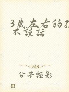 3岁左右的孩子不说话