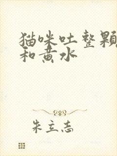 猫咪吐整颗猫粮和黄水