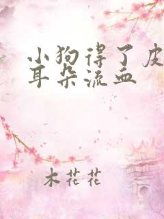 小狗得了皮肤病耳朵流血