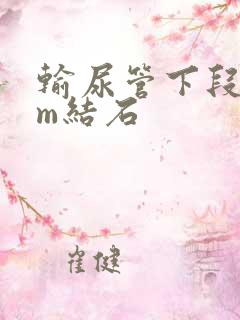 输尿管下段3mm结石