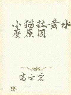 小猫拉黄水是什么原因