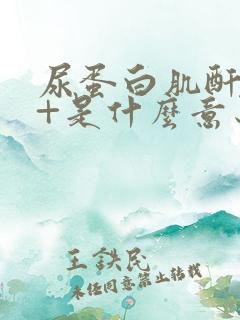 尿蛋白肌酐比1+是什么意思