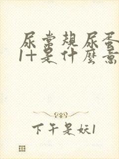 尿常规尿蛋白质1+是什么意思