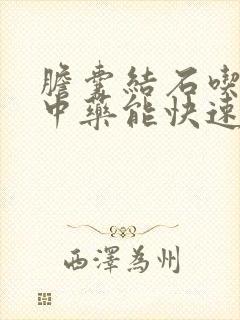 胆囊结石吃什么中药能快速排出来