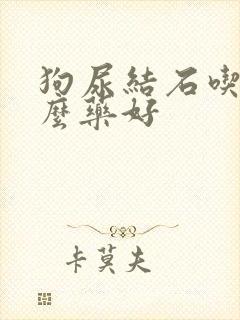 狗尿结石吃吃什么药好