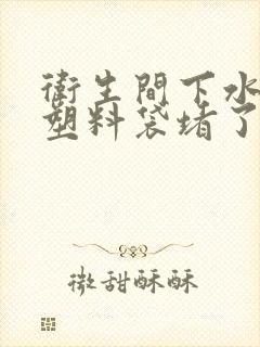 卫生间下水道被塑料袋堵了怎么办